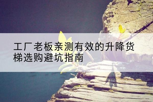 兴平升降货梯怎么选-工厂老板亲测有效的升降货梯选购避坑指南