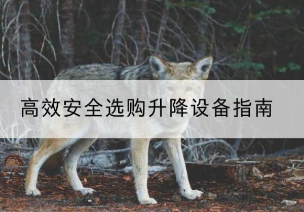 兴平升降货梯厂家推荐-*安全选购升降设备指南