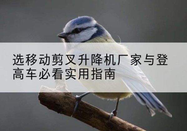 兴平电动升降机厂家-选移动剪叉升降机厂家与登高车必看实用指南