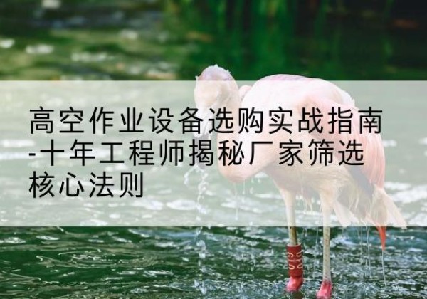 兴平剪叉式升降机厂家-高空作业设备选购实战指南-十年工程师揭秘厂家筛选核心法则