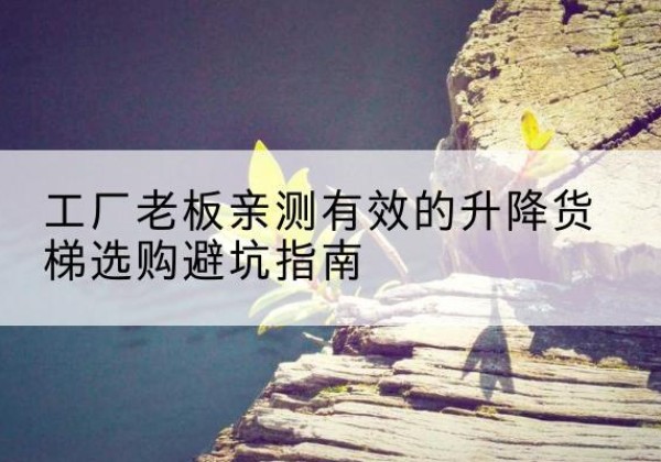 兴平升降货梯怎么选-工厂老板亲测有效的升降货梯选购避坑指南